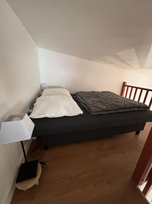 Charmante Maison Bord De Marne Maisons-Alfort Extérieur photo